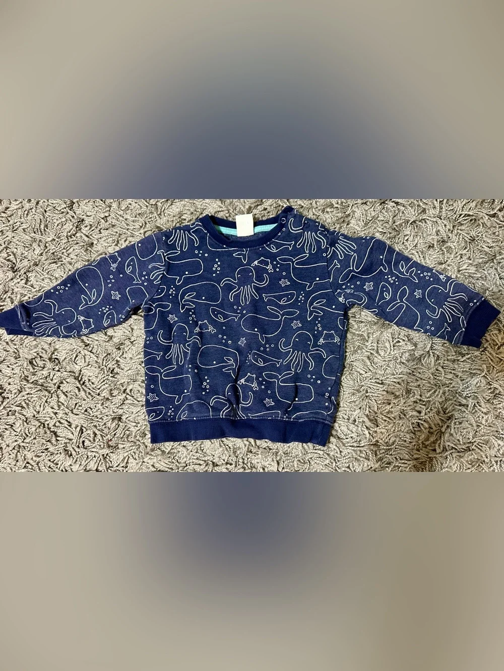 Gymboree Navy Sea Creatures Sweatshirt